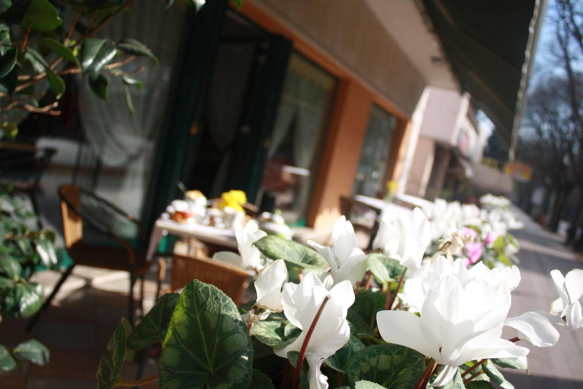 Hotel Damodoro Pordenone Luaran gambar